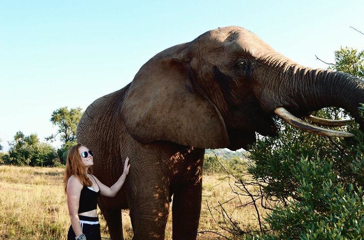 Photo by Jade F., ISV South Africa Alum Gap Year Ideas for Your First Year After College: Nature & Wildlife Programs